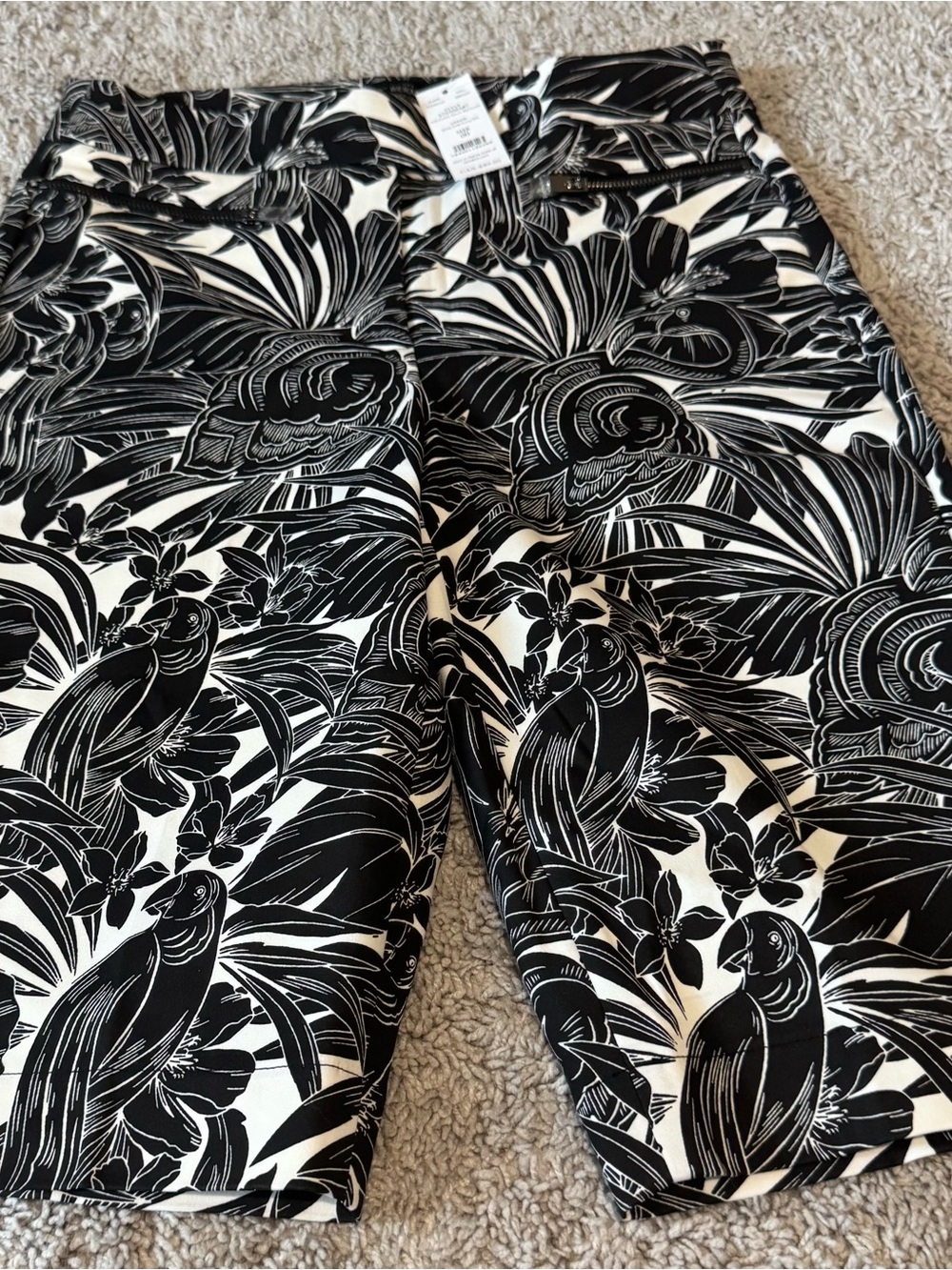 White House Black Market Black & Ecru Botanical Print Shorts